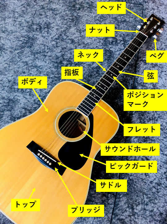 ギター　各部名称　ネック　ヘッド　フレット　サドル　ブリッジ　アコースティックギター　アコギ